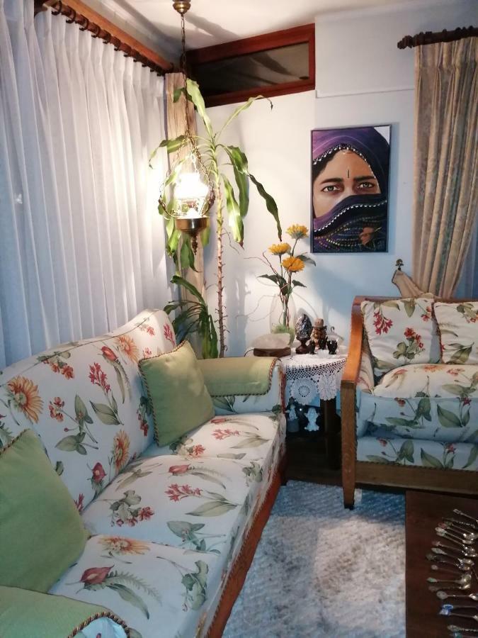 Posada Selva Negra تيموكو المظهر الخارجي الصورة