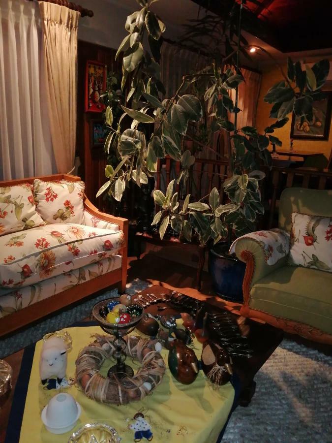Posada Selva Negra تيموكو المظهر الخارجي الصورة