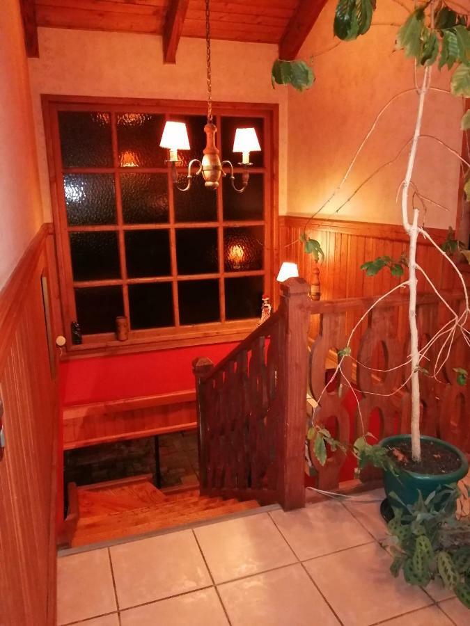 Posada Selva Negra تيموكو المظهر الخارجي الصورة